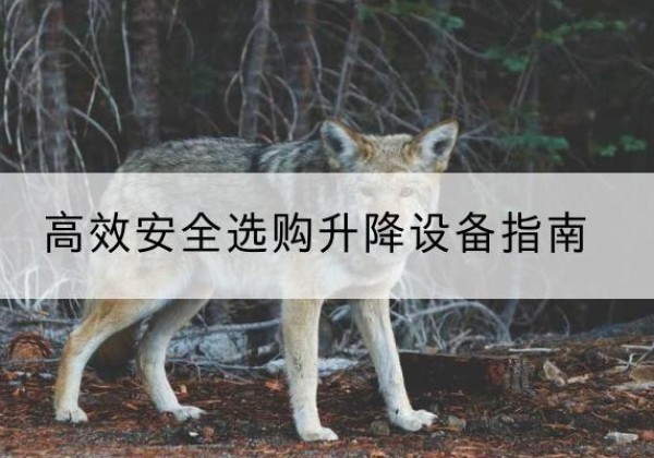 文登升降货梯厂家推荐-*安全选购升降设备指南