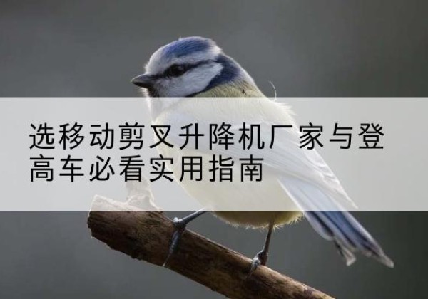 文登电动升降机厂家-选移动剪叉升降机厂家与登高车必看实用指南