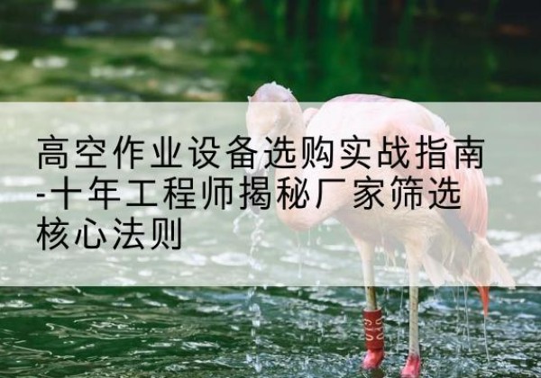 文登剪叉式升降机厂家-高空作业设备选购实战指南-十年工程师揭秘厂家筛选核心法则